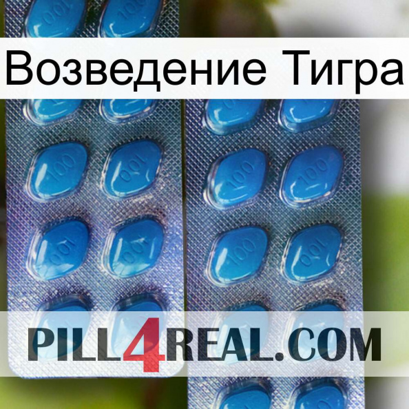 Возведение Тигра viagra2.jpg